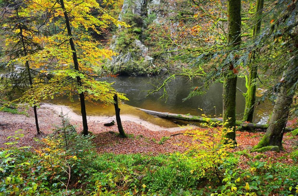 Meuble Pour 5 Pers - Hautes Vosges Thiefosse ภายนอก รูปภาพ